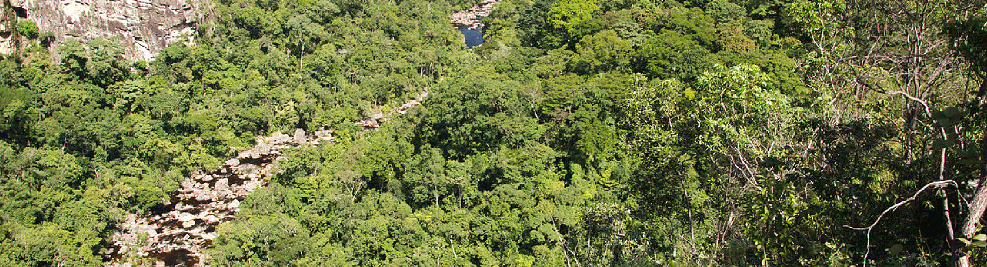 trilhas em meio a natureza