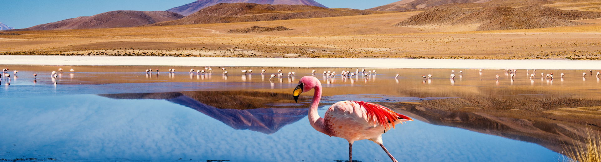 Réveillon no Atacama