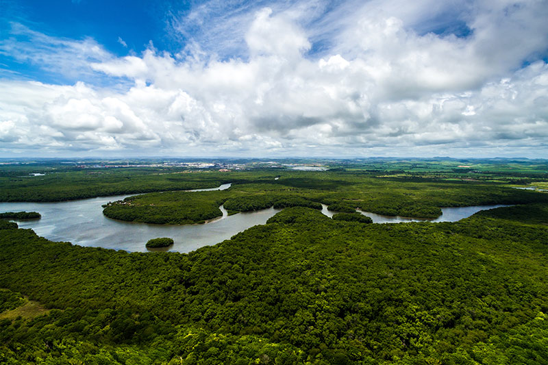 Pacote de viagem para a Amazônia, suas férias tranquilas e sem imprevistos