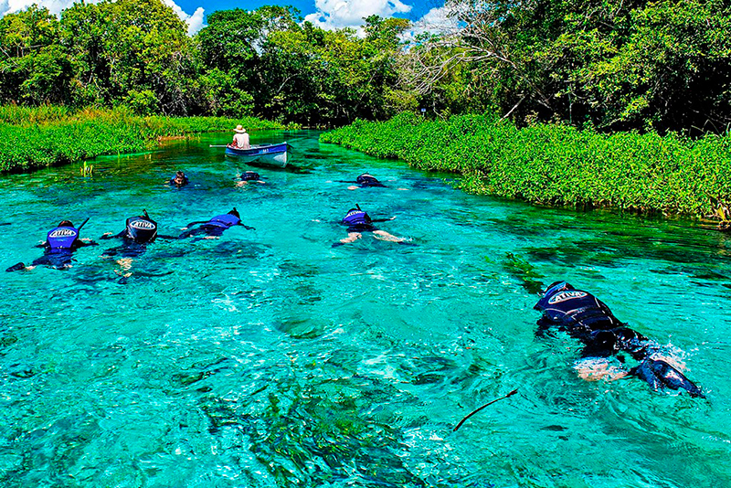 Roteiro de viagem nacional: Bonito oferece uma beleza natural incrível e passeios inesquecíveis para toda a família