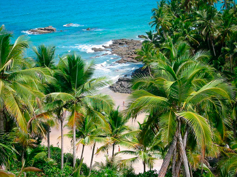 Viagem para a Bahia: Trilhas praias e cachoeiras podem ser encontradas em Itacaré