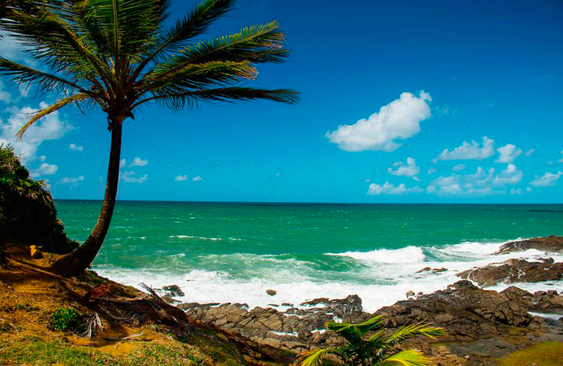 Viagem para a Bahia: Aproveite e conheça Itacaré