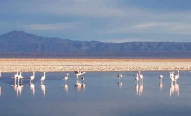 Deserto de Atacama: Um lugar fantástico para descobrir