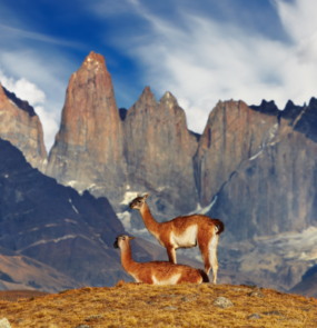 Santiago e Puerto Natales